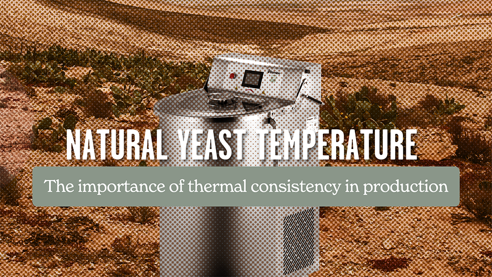 Temperature of sourdough starter: the importance of thermal constancy in production